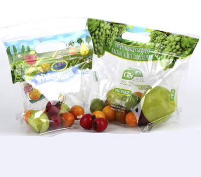 China Recyclable Resealable Plastic Fruit Vegetable Zip Lock Food Packaging Bag for sale