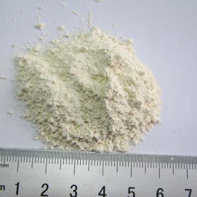 China 2020 Crop Dried Horseradish Dry Powder for sale