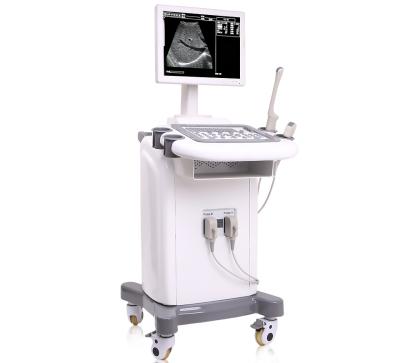 China Didital Trolley Ultrasound Trolley Medical Professional FULL Metal Black White Ultrasound for sale