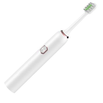 China Inexpensive battery operated electric toothbrush for sale