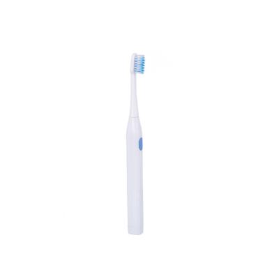 China Portable Waterproof Replaceable Battery Operated Electric Toothbrush for sale