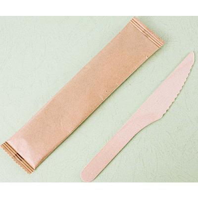 China Disposable Degradable Wooden Knife For Kids Block Knife Wooden Knife Wood for sale