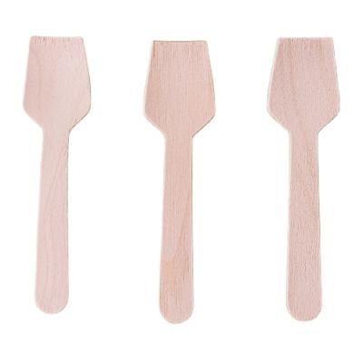 China Viable Biodegradable Ice Cream Scoop Ice Cream Scoop Scoop Scoop Small Ice Cream Scoop for sale