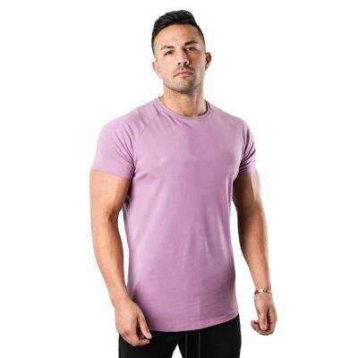 China Custom Aplet Curved Edge Men's Spandex Cotton T-shirt Gym Logo Men Fitness Short Sleeve Shirt Anti-Shrink for sale