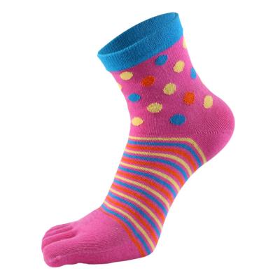 China QUICK DRY Five Colored Fashion Toe Sock Finger and Socks for sale