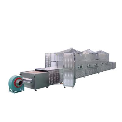 China Vegetable and Papaya Microwave Friuts Machinery Fruit and Vegetable Dryer Processing Line for sale