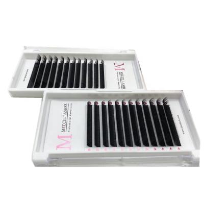 China PBT Long Classic Different Natural Eyelash Extensions Korean Private Label Lash Tray Wispy Lashes for sale