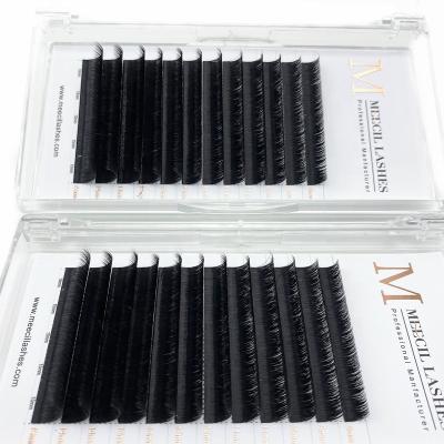 China Long Natural Easy Fan Eyelash Extensions Autofans Whips Flower Eyelashes Easy Fanning Volume Mega Lash for sale