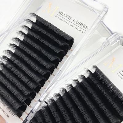 China Natural Easy Long Fans Blooming Strands Fast Fanning Individual Eyelash Extensions Eyelash Extension for sale