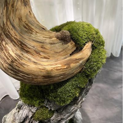 China Various Kind Of Indoor Decoration Customized Artificial Tree With Plastic Pine Interior Decoration For Large ImitateTrees In Hotels for sale