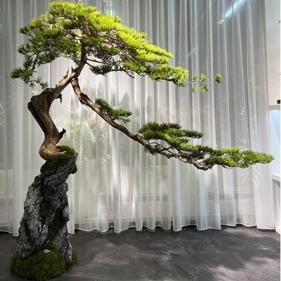 China Various kind of pine indoor artificial bonsai plant wholesale price decoration indoor decorative green pine for home for sale