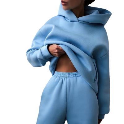 China Viable Women's Casual Suits Autumn Warm Hoodie Sweatshirts Tracksuit and Long Pant Fleece Two Piece Sets for sale