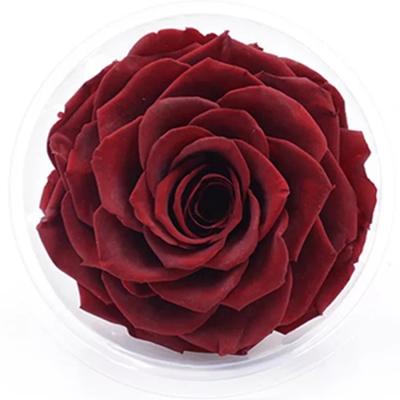 China Wholesale Decorative Gift Size Beautiful Large 9-10cm Preserved Roses With Top Quality for sale