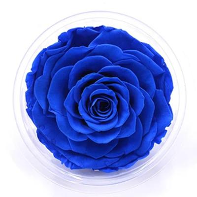 China Preserved Gift Wholesale 9-10cm Rose Head Large Various Colors For Choose for sale