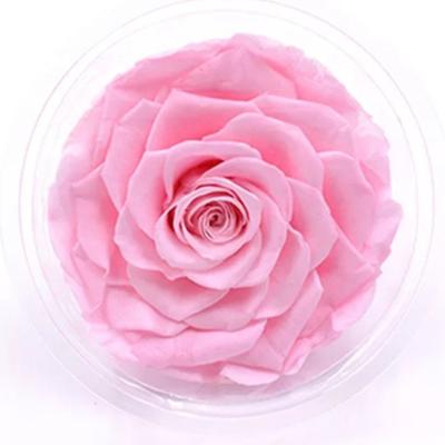 China Gift Wholesale A Grade Eternal Big Rose 9-10cm Long Head Life Span Valentine's Day for sale