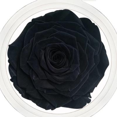 China The Gift The Large Size Preserved Rose Flower Real Touch Giant Preserved Fresh Roses for sale