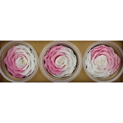 China Wholesale 7-8cm Multi Colored Gift Preserved Rose Real Touch Wedding Decorative Flower Wall for sale