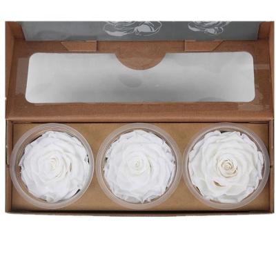 China Gift A Grade Best 7-8cm Fresh Eternal Roses Forever Preserved for sale