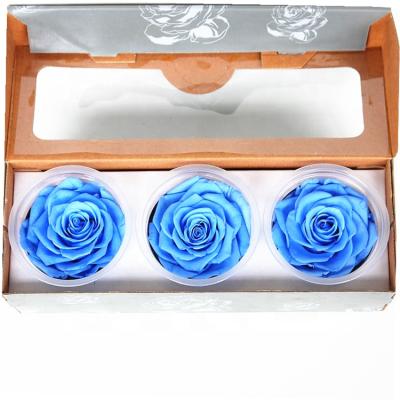 China Natural Eternal Immortal Preserved Roses Gift Wholesale Soft Touch Ecuador for sale