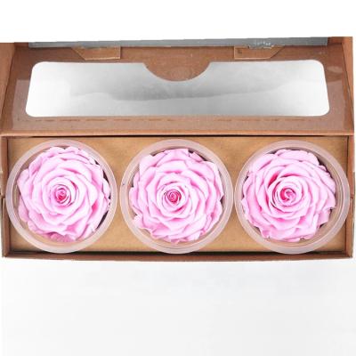 China Ecuadorian7-8CM Eternal Gift Decorative Roses Head Preseved Flower For Wedding for sale