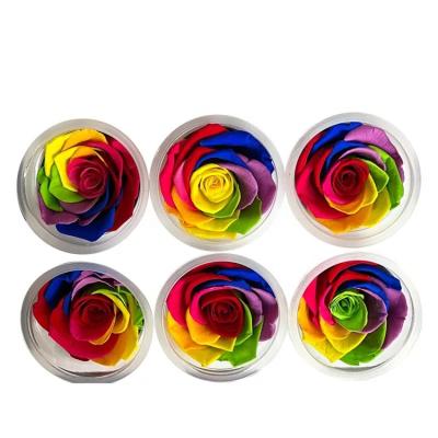 China Wholesale Gift Colorful Multi Color 5-6cm NEW Preserved Rose Head From Factory for sale