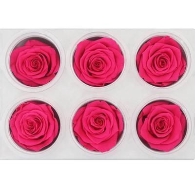 China Wholesale Gift Brand Art Essay 5-6cm Preserved Rose Rose Head For Gift Decoration for sale