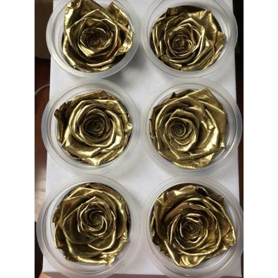 China Eternal Gold Color Gift Rose 5-6cm Rose Head Preserved Kunming China Roses for sale