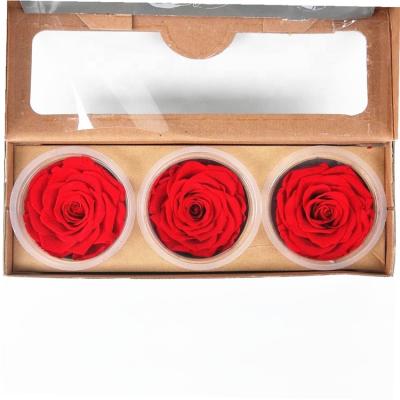 China Wholesale Gift Preservation Natural Durable Rose Flower Heads Real Preserved Roses for sale