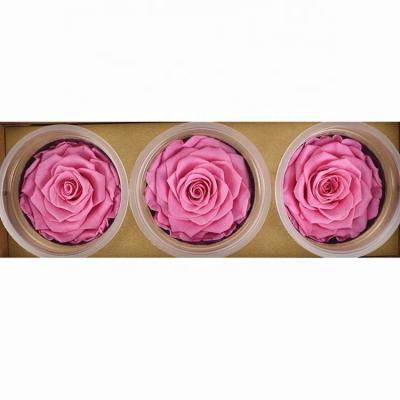 China Gift Wedding Decoration Rose Preserved Flower 7-8cm Eternal Rose for sale