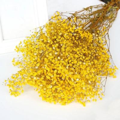 China Wedding preserved long stem gypsophila for DIY material for sale