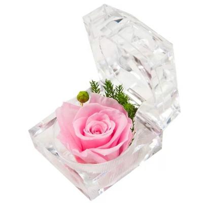 China Wholesale Wedding Gift Preserved Rose Acrylic Rose Box Preserved Flowers Stabilized Eternal Rose in Ring Box for sale