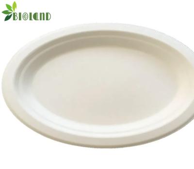 China MOYOCO Compostable Disposable Biodegradable Sugarcane Fiber Baggasse Tableware Round Dish Eco Friendly Wheat Straw Fiber Tableware for sale