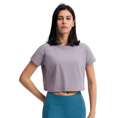 China Hot Selling Breathable Women Short Sleeve Sports Crop Top Breathable Quick-drying Loose Running T-shirt for sale