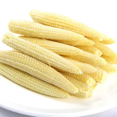 China Best Hot Selling Canned Yellow Baby Corn Brands for sale