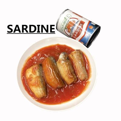 China 155g Small Size Canned Canned Sardine Pilchard In Tomato Sauce Canned For South Africa for sale