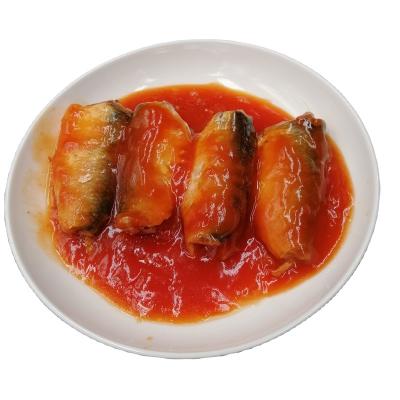 China Canned Oval Cans Pacific Mackerel Fish Benefits Mackerel Tin Fish with Tomato Sauce for sale