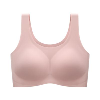 China High Quality Breathable Shiny Women's Seamless Bra QUICK DRY for sale