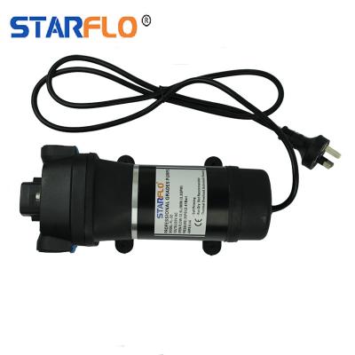 China Mini Utilities Diaphragm Pump STARFLO FL-32 35PSI 12.5LPM 220v Non Industrial Submersible Diaphragm Pump AC For Water for sale