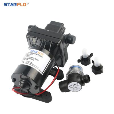 China Family Homes Low Pressure Micro Motor 55PSI 12V DC Self Priming Freshwater Mini Wilden Electric Diaphragm Water Pump for sale