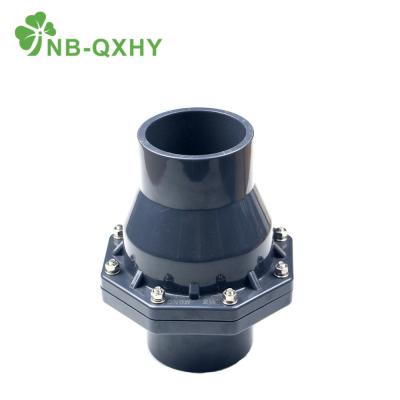 China PVC Non Return Check Valve for Chemical Industrial Series Pn16 DN15-200 DIN Standard for sale