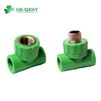 China PPR Tee Forged Brass PPR Pipe Fitting Female Male for Hot Water Distribution System for sale