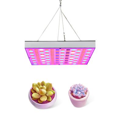 China Seed Starting LED Sunlike Quantum Grow Lamp 60W Professional LED Grow Light Dual Control For Hydroponic Greenhouse Plant Growth Lighting for sale