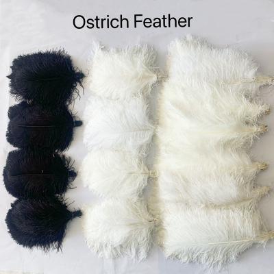 China Decorations Customized Colors Ostrich Feathers For Wedding Centerpieces 70-75cm for sale