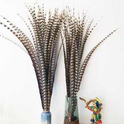 China Madame Amherst Pheasant Tails side feathers decorations for sale