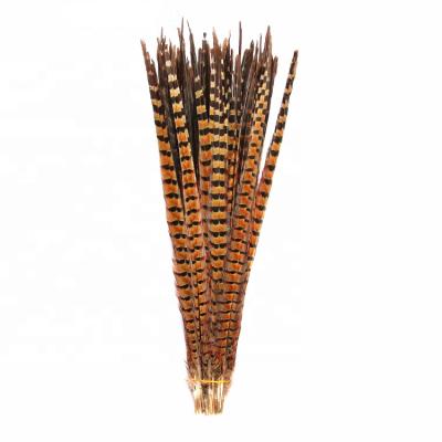 China Long Decorations English Ringneck Pheasant Feathers for sale