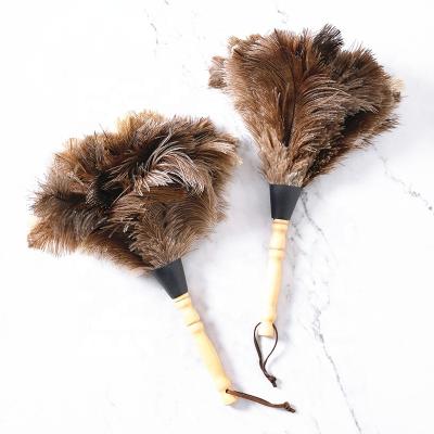 China 35cm wooden cleaning handle and eco-friendly reusable hand held ostrich feather duster for sale