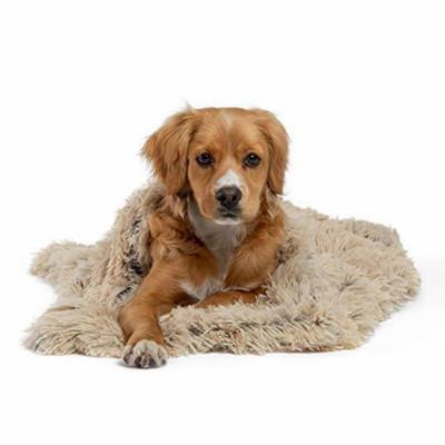 China Double PV Fall Plush Pet HARD Mat /Winter Pet Blanket Small & Medium Dog Mat Warm Comfort Cat Blanket for sale