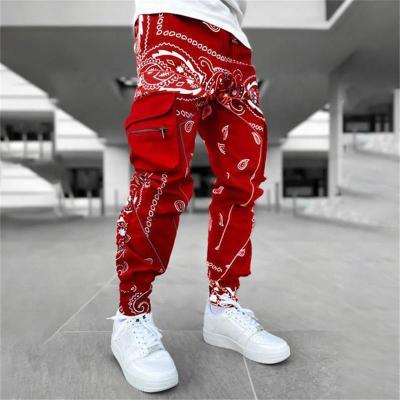 China Anti Wrinkle New Stylish Anti Wrinkle Pants Loose Cargo Track Pants Breathable Casual Straight Hip Hop Plain Over Print Streetwear Joggers Men for sale