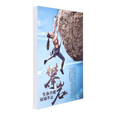 China Aluminum alloy+Waterproof film cloth soft durable using low price led light box pole advertising board for sale