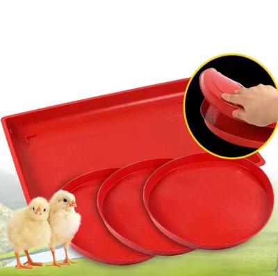 China Factory Wholesale Commercial Breeding Feeder Pan Chick Automatic Feeding Small Price for sale